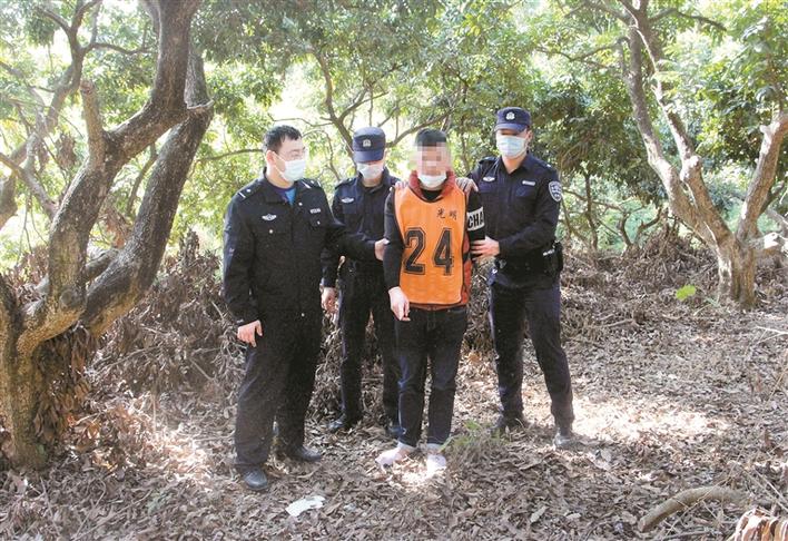 赌场藏身荔枝园 光明警方抓获7人