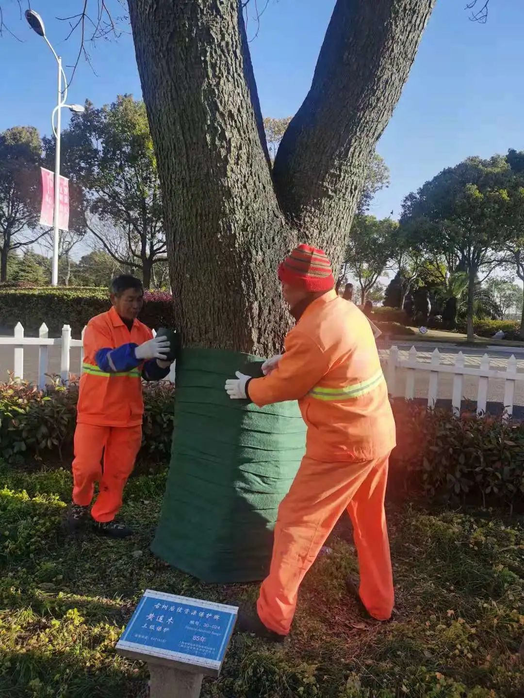 寒潮来袭沪上这群百岁老年人为何不用保暖
