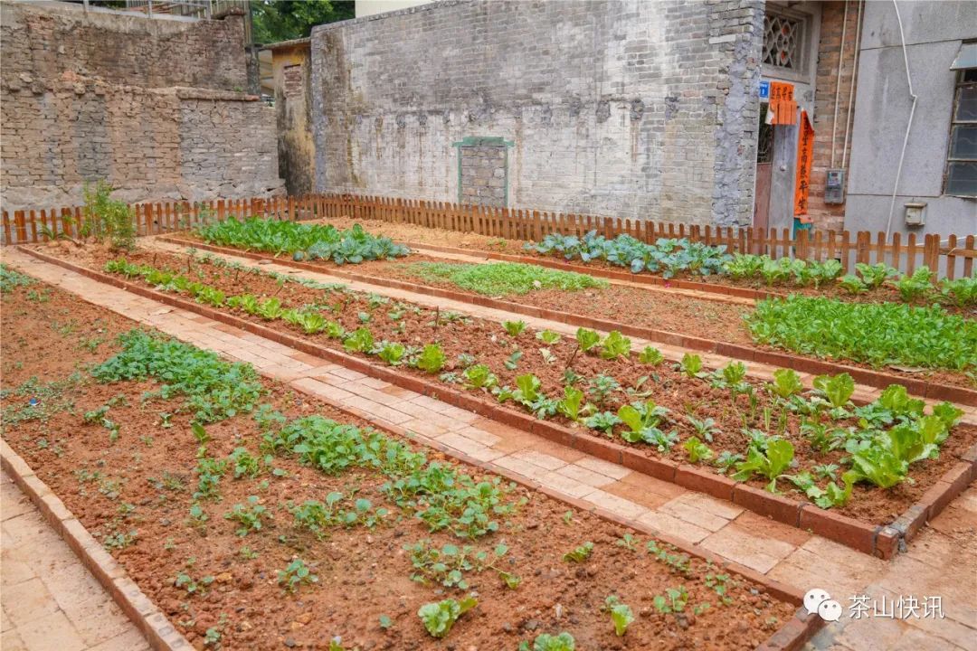 "四小园"(小菜园,小果园,小花园,小公园)把往日的危房,废墟打造成实用
