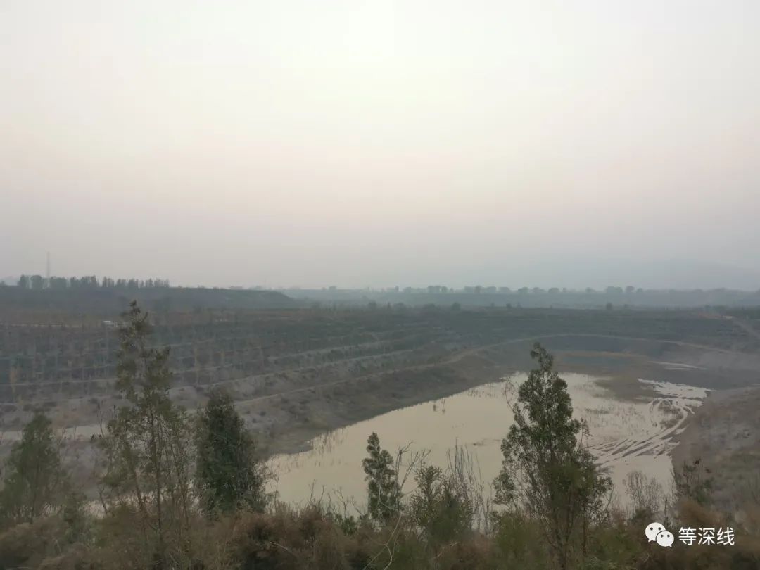 开栅镇一处沙坑，在治理后，已被栽种上树木。《等深线》记者 李城 摄