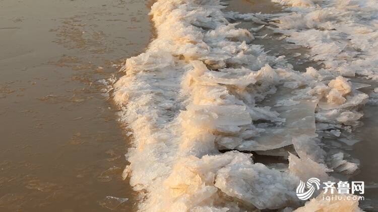 据了解,气温下降以来,东营便出现了淌凌现象,冰凌随着黄河水一路向东