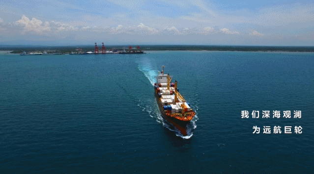 公民和组织如发现危害国家安全行为,可以拨打12339国家安全机关举报