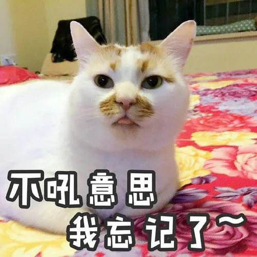 “海底捞给我的社恐，都被它治好了”休闲区蓝鸢梦想 - Www.slyday.coM