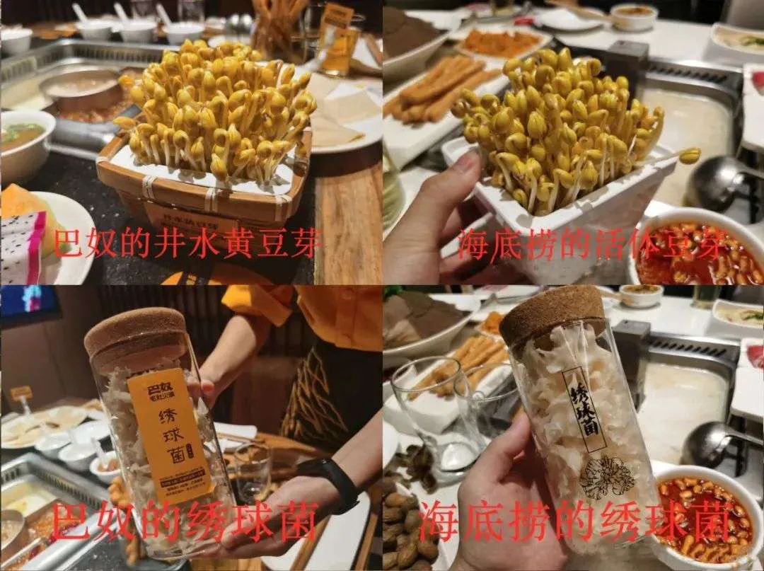 “海底捞给我的社恐，都被它治好了”休闲区蓝鸢梦想 - Www.slyday.coM