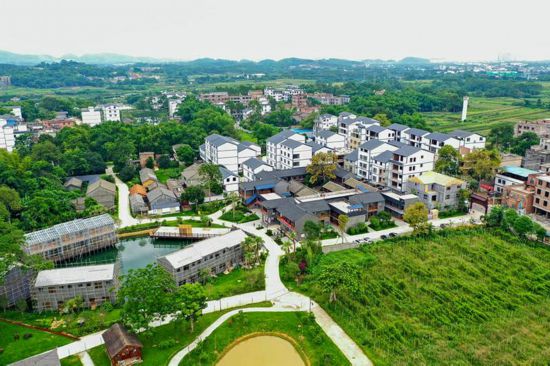 南宁市西乡塘区:幸福花开满田园 步履坚实乡村兴