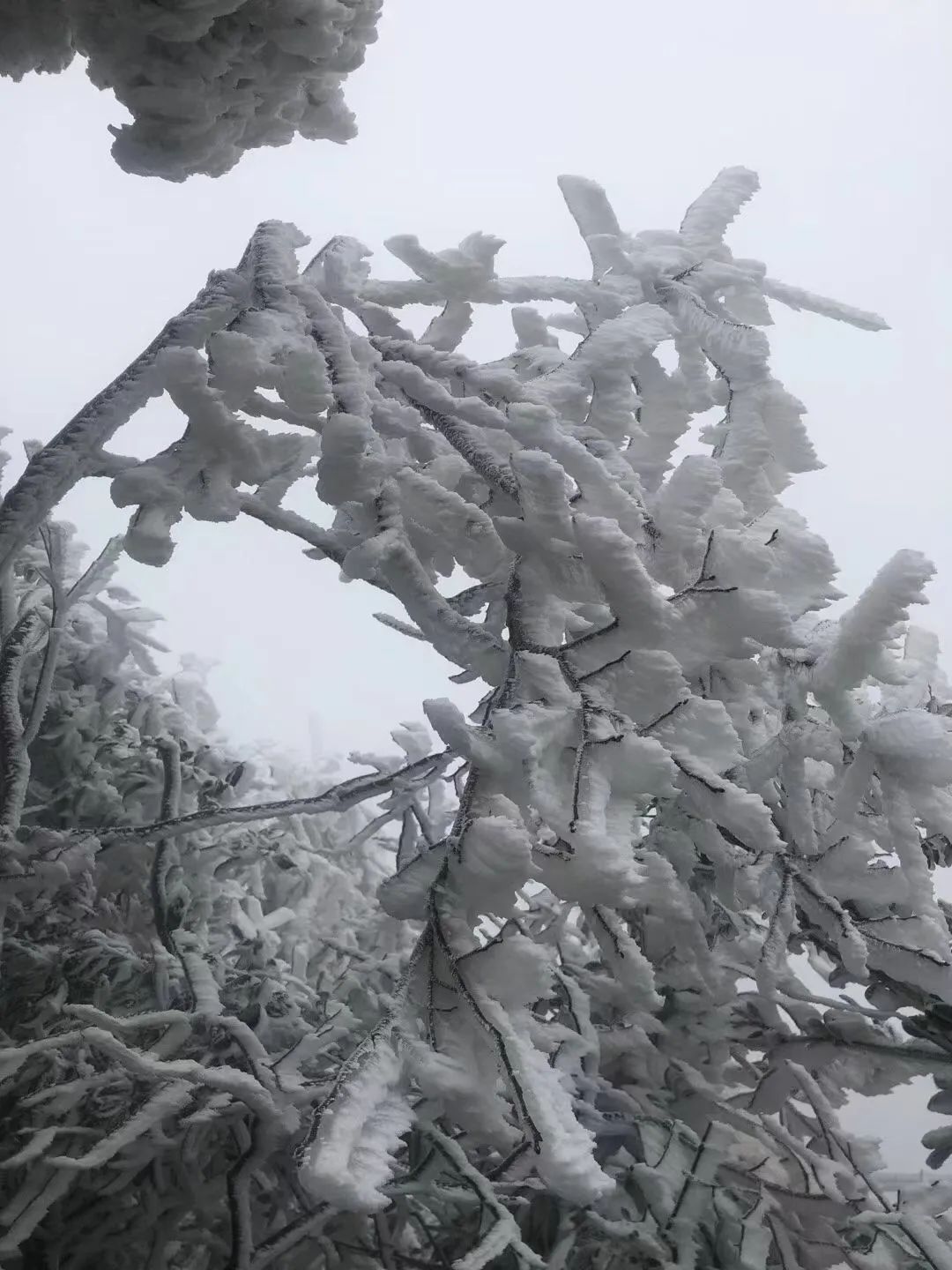 带你直击肇庆"冰封"奇观.