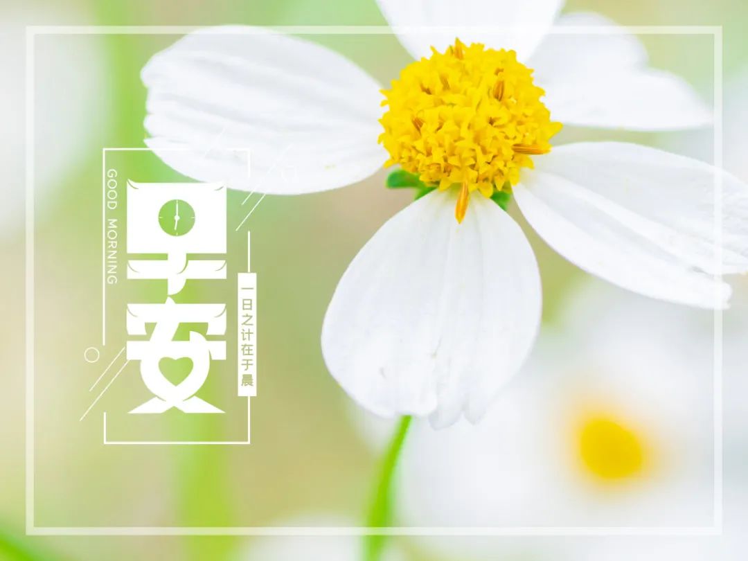 早安暖心话阳光早安心语