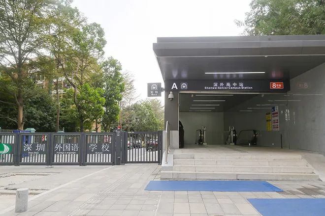 看变化,品海鲜,走栈道!我们诚邀您来盐田这个品质街区采风