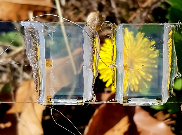 韩国科学家研发透明光伏电池，未来或可“融入”窗户和手机屏幕