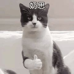 女生穿衣显高的4个小心机休闲区蓝鸢梦想 - Www.slyday.coM