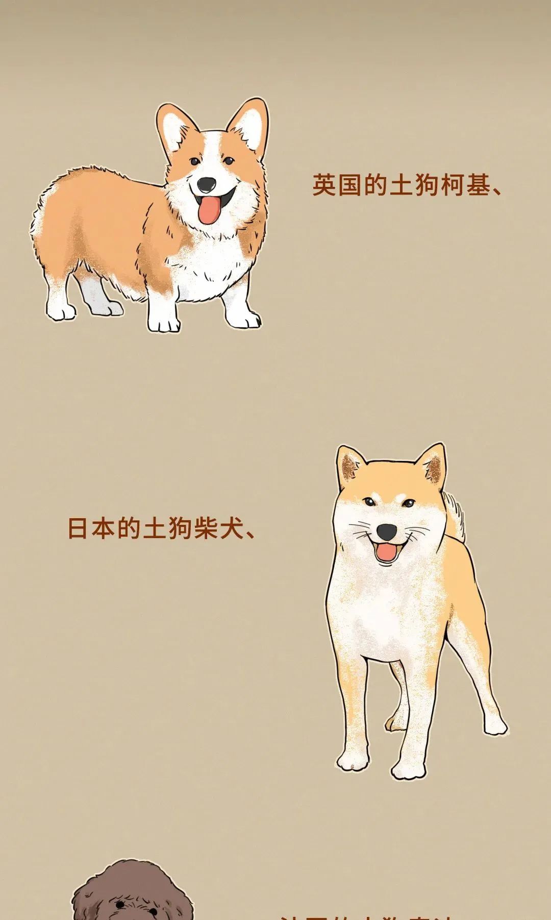 说中国土狗土的那你们是没看过这个