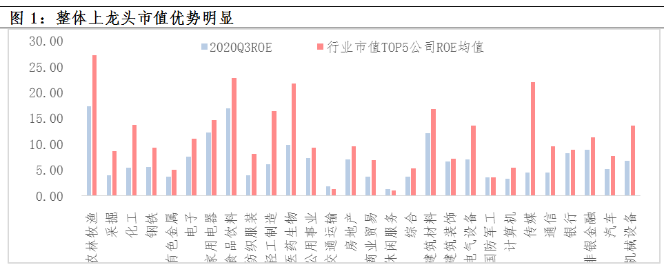 A股龙头化？买股直接买龙头？