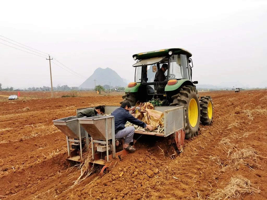 当天,还进行了甘蔗粉垄"145"专用粉垄机演示作业.