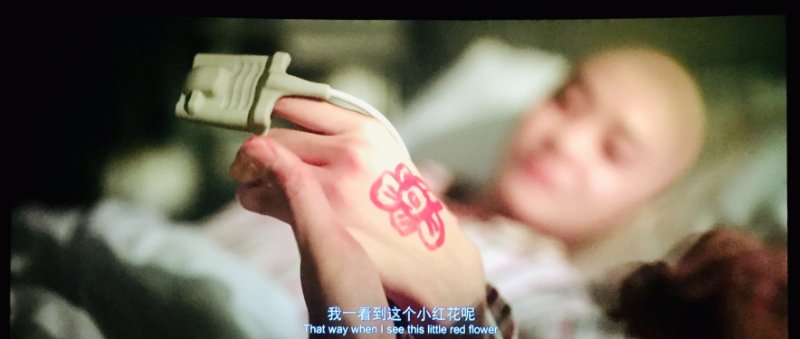 壹点包场仨影厅请壹粉看电影送你一朵小红花他们说