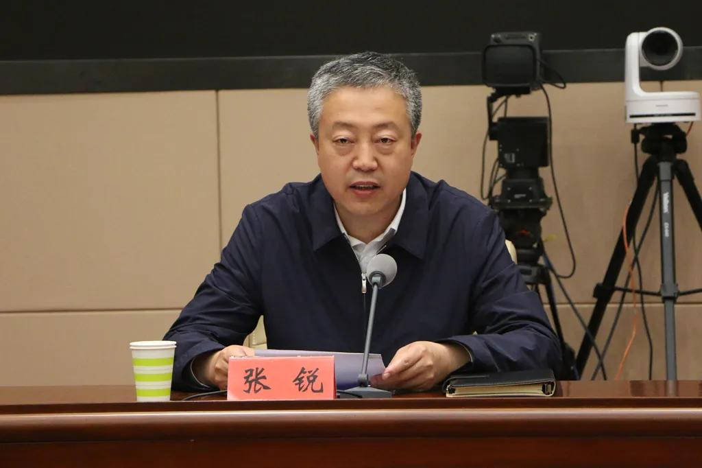 决定,审议并表决通过了人事任免事项,决定任命张锐为市人民政府副市长