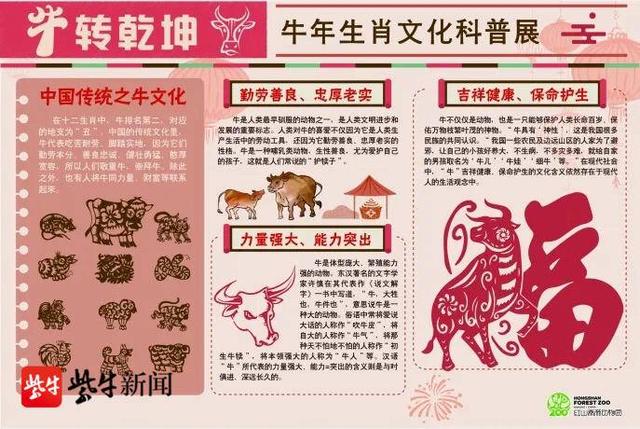 红山动物园"牛气冲天"生肖文化节邀您游园过年