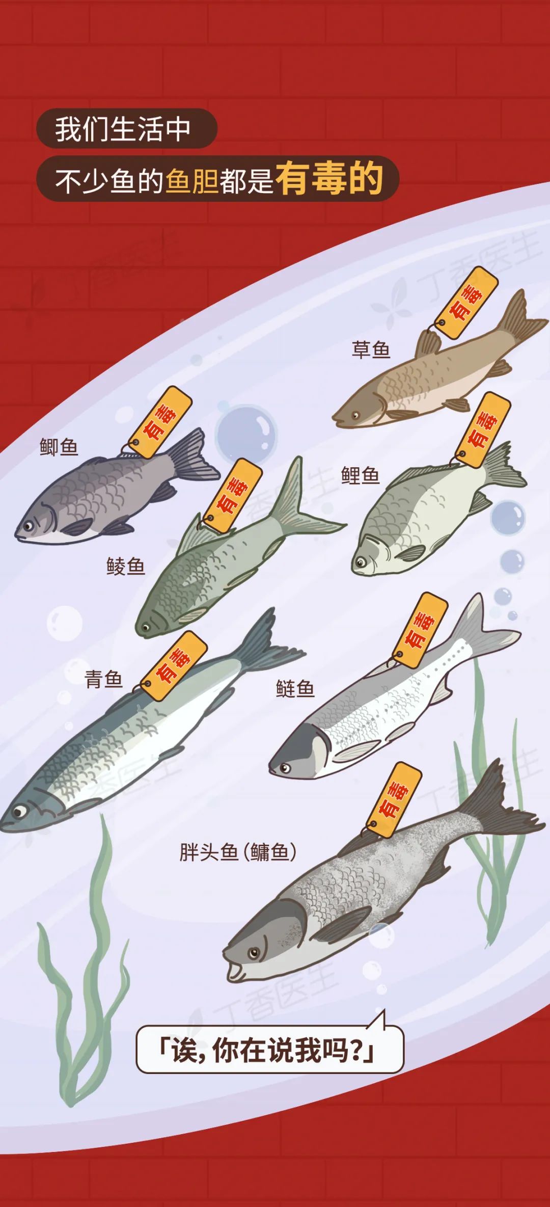 鱼的这个部位可能有毒,千万别吃啦