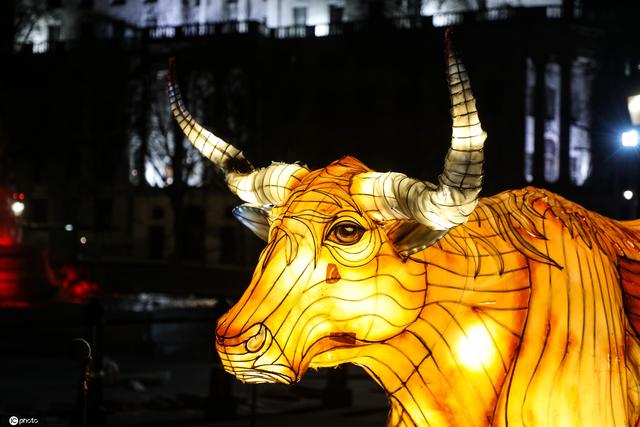 英国地标现牛型彩灯庆祝2021辛丑牛年