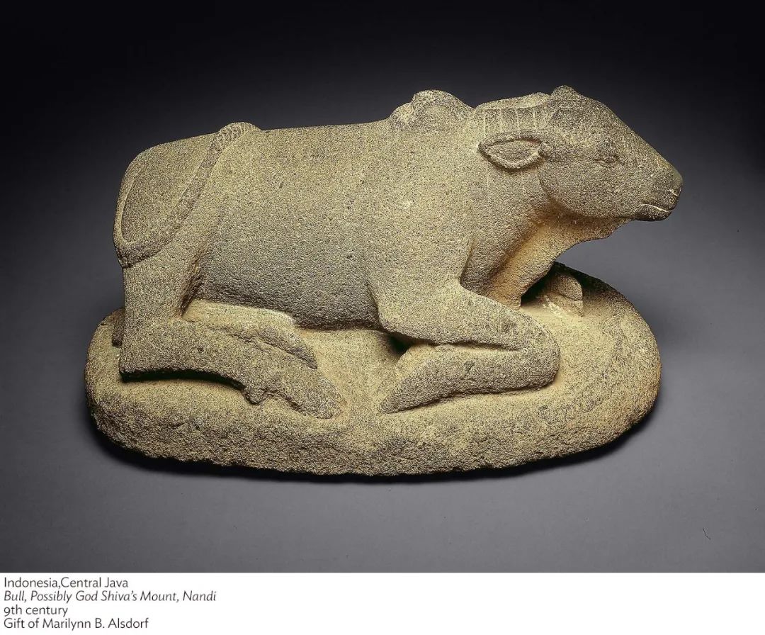 爪哇风格的坐姿公牛