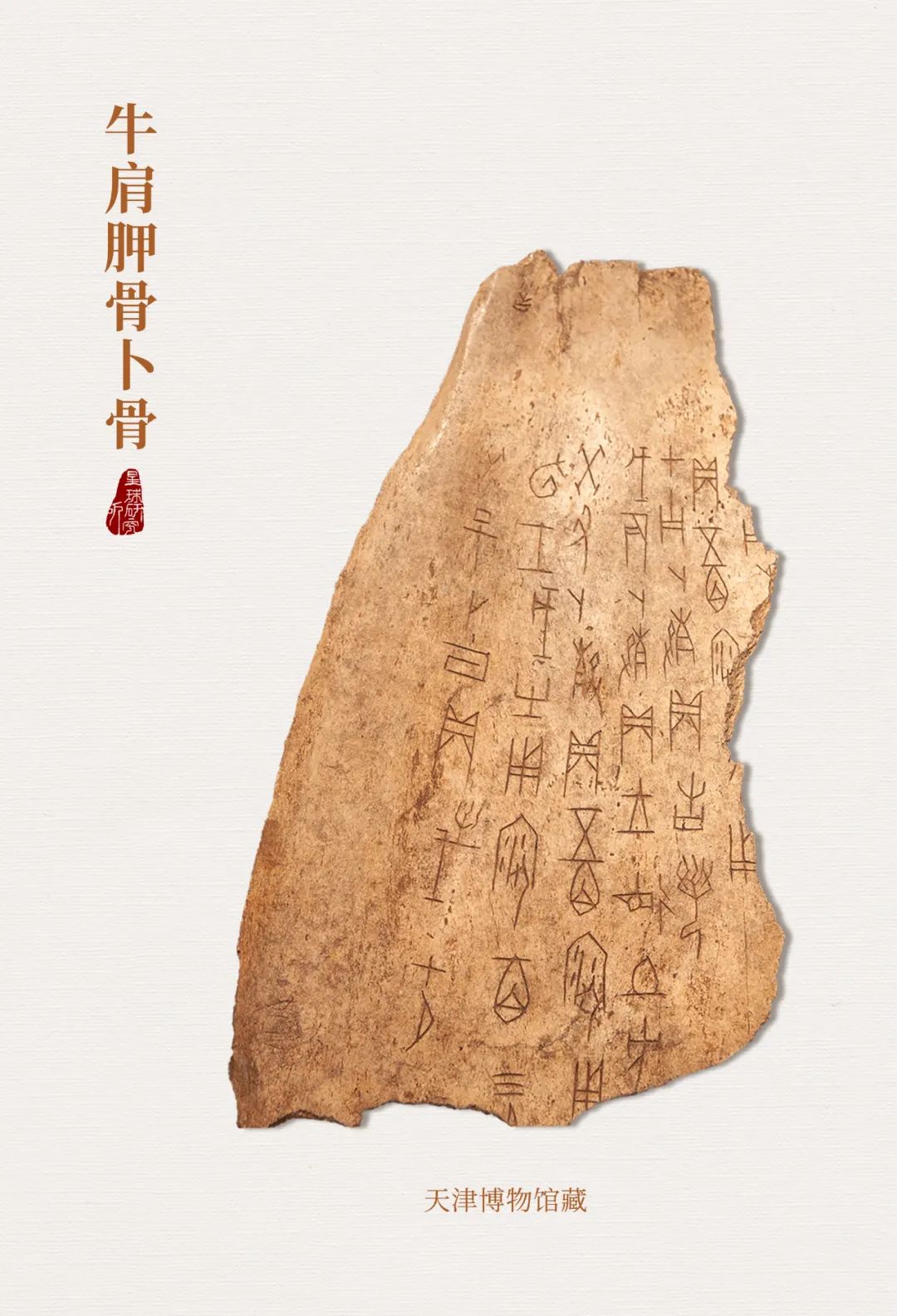 甲骨文|牛|制图_新浪新闻