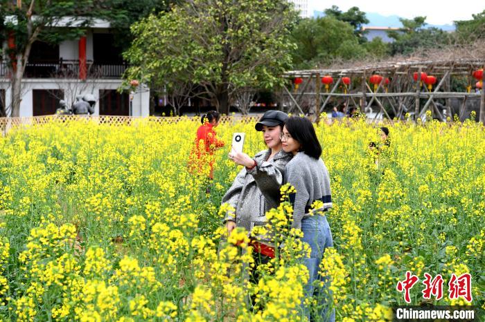 正月初一福州市民公园游玩 新浪新闻 正月初一福州市民公园游玩 新浪新闻