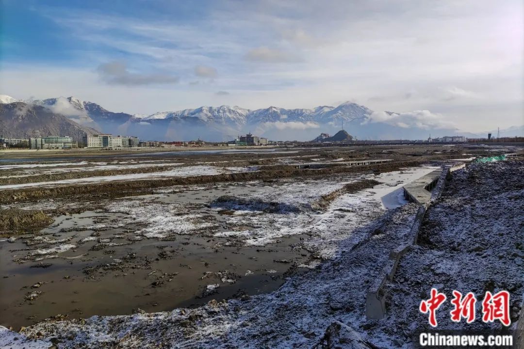 降雪后的拉萨风景秀丽。江飞波 摄