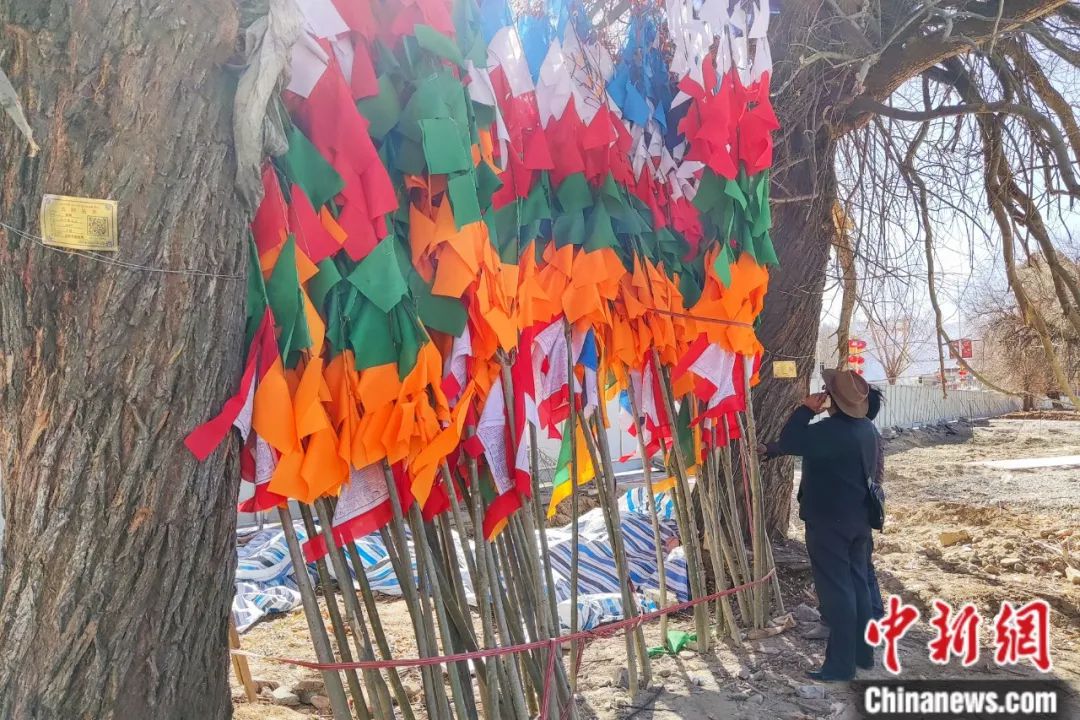 西藏藏历新年年货——五彩经幡。江飞波 摄