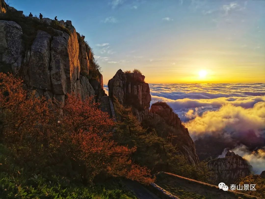 牛年伊始~登泰山观日出 祈愿国泰民安|泰山_新浪新闻