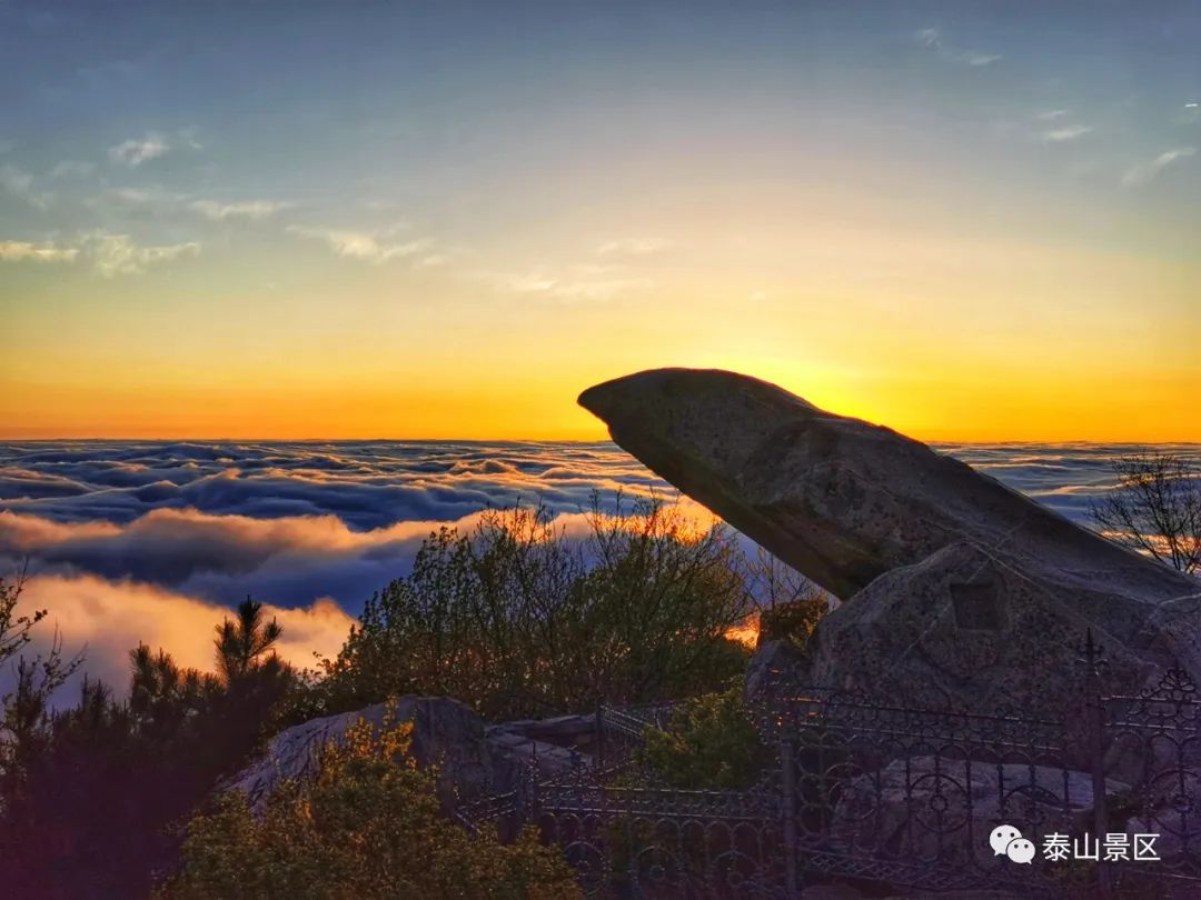 牛年伊始~登泰山观日出 祈愿国泰民安|泰山_新浪新闻