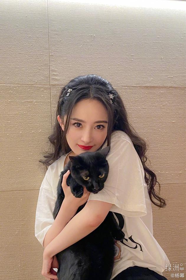 杨幂大年初一晒抱猫照满身猫毛一脸无奈