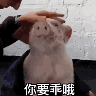 多少中国人在快手上学送礼