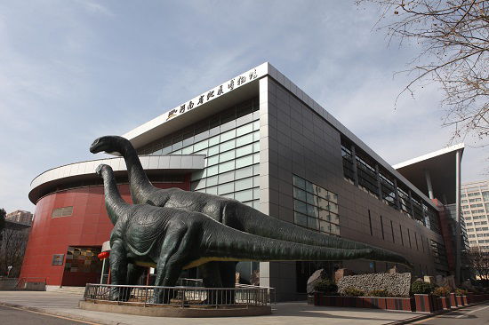 大年初三 云游地博:河南省地质博物馆 发掘恐龙化石触摸地球历史