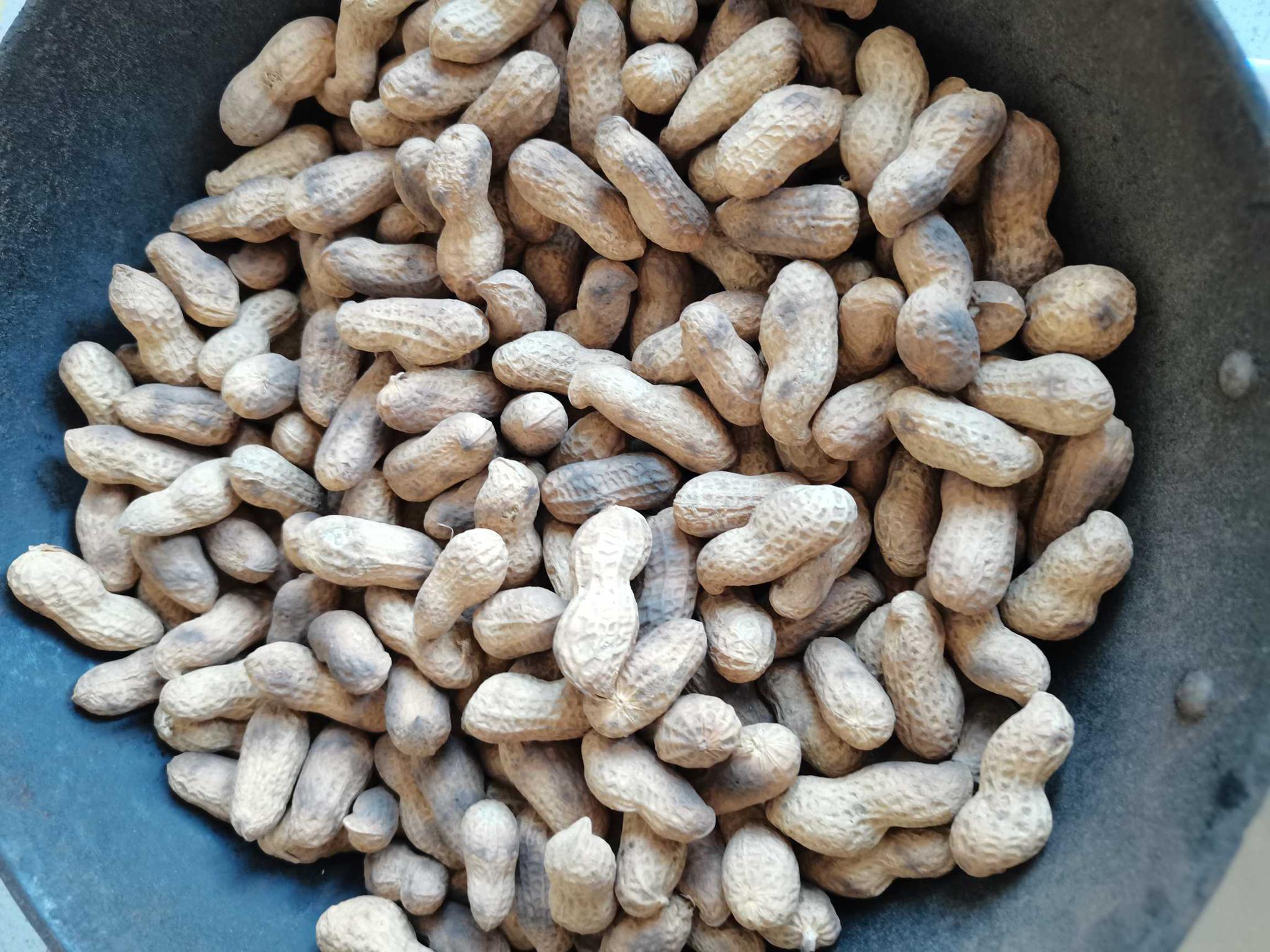 就地过年过年了我炒了一锅落花生