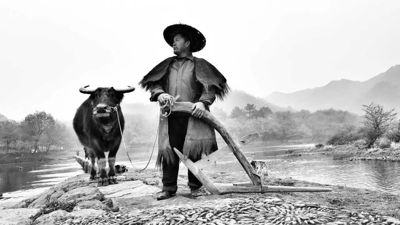 "老汉牵牛"摄影作品渐渐地,越来越多的摄影师来到景区,希望拍到"老汉