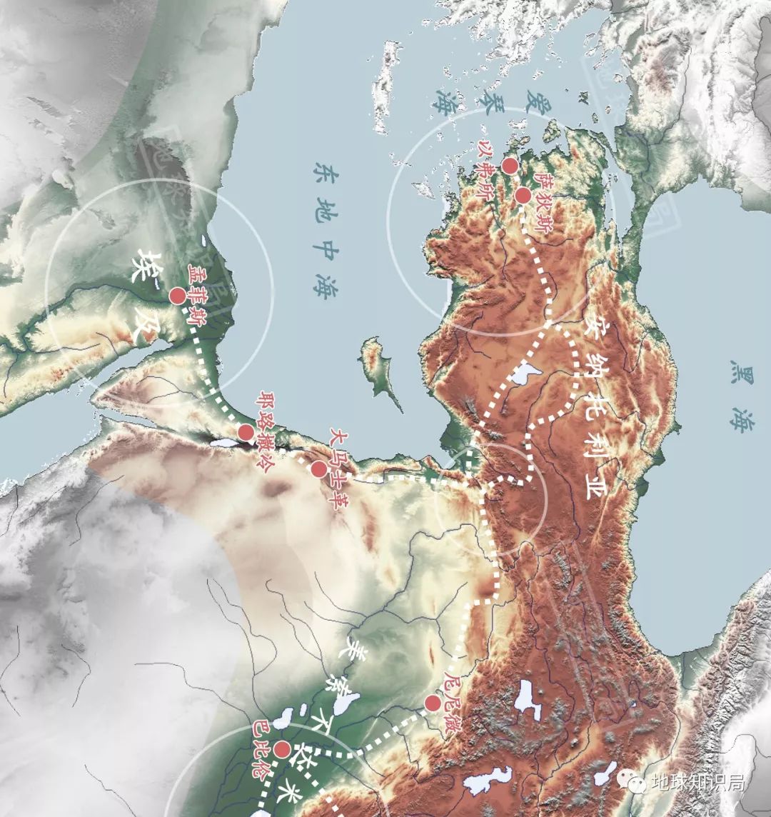 从高原到波士顿 约基奇带队挑战凯尔特人豪华阵容成焦点战役
