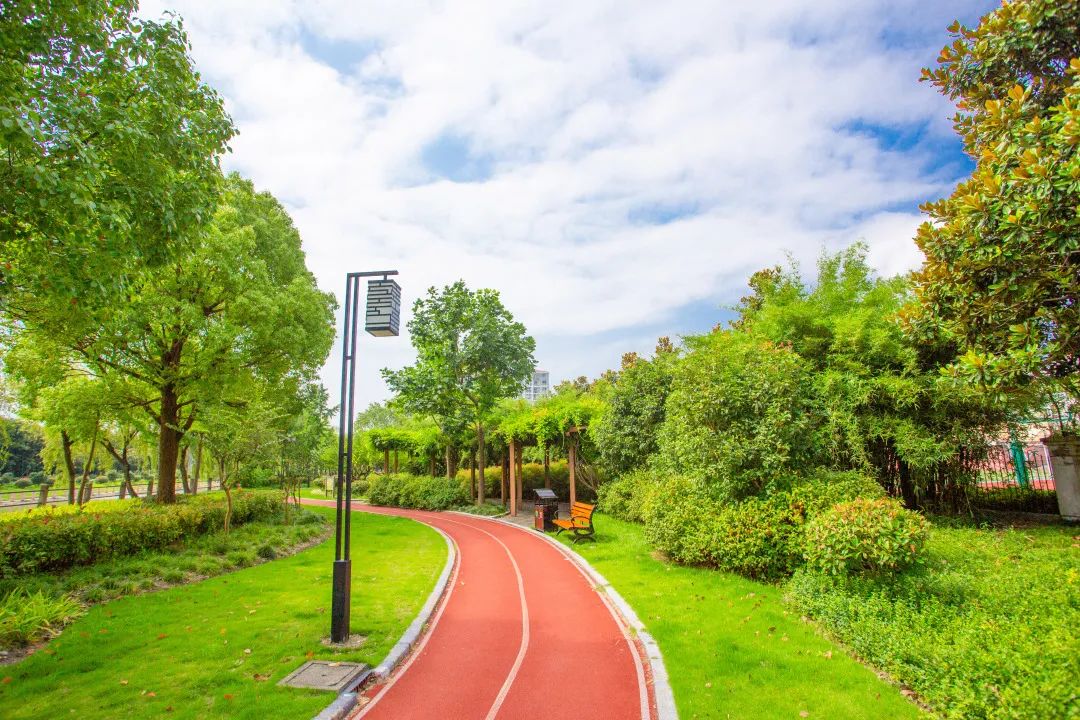 探索十字水街田字绿廊奉贤已建成绿道超百公里