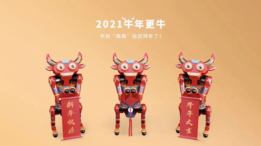 春晚舞台上和刘德华王一博跳舞的牛犇犇被金华人接回来过年了