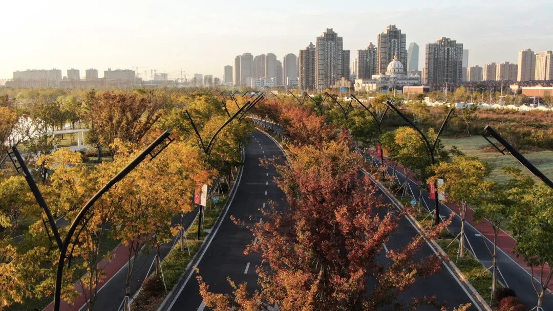 探索十字水街田字绿廊奉贤已建成绿道超百公里