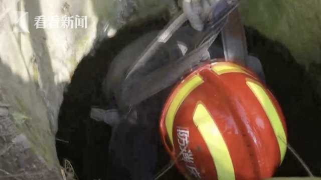 视频|边走路边看手机 12岁女孩野外踏青坠入路边枯井休闲区蓝鸢梦想 - Www.slyday.coM 视频|边走路边看手机 12岁女孩野外踏青坠入路边枯井休闲区蓝鸢梦想 - Www.slyday.coM