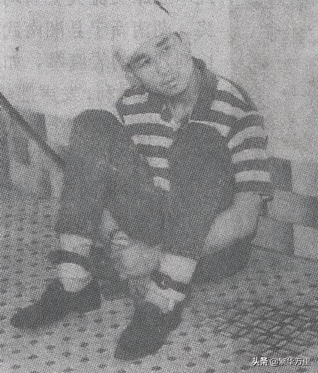 围捕乔立夫,世界散打冠军,1995年,8名刑警擒拿乔立夫?