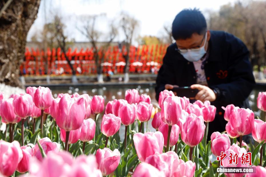 昆明哪里找大学生兼职的那些靠谱方法 昆明找大学生兼职的5个靠谱方法