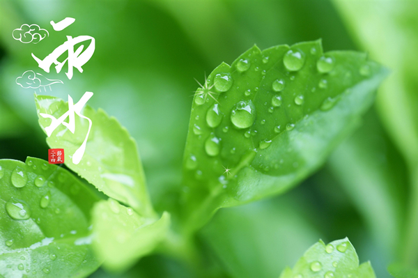 雨水冰雪消融降雨比降雪多