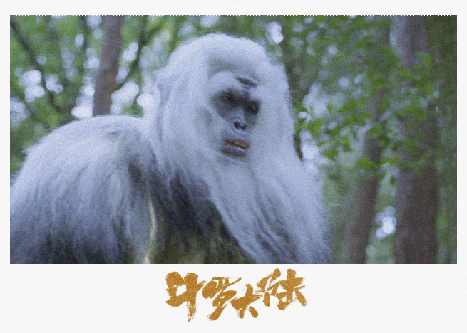 还有威武凶猛的泰坦巨猿