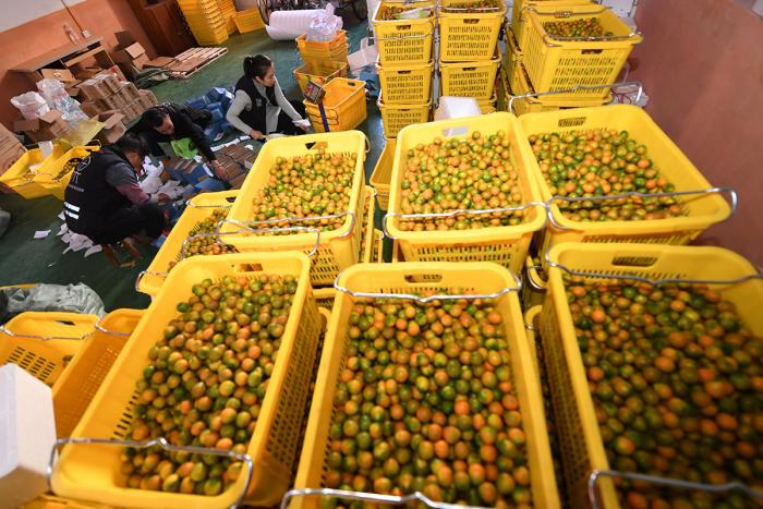 春节消费“开门火爆”:餐饮购物旅游结构大调整 票房创下历史新高