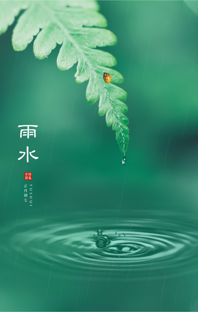 今日雨水开工大吉牛起来