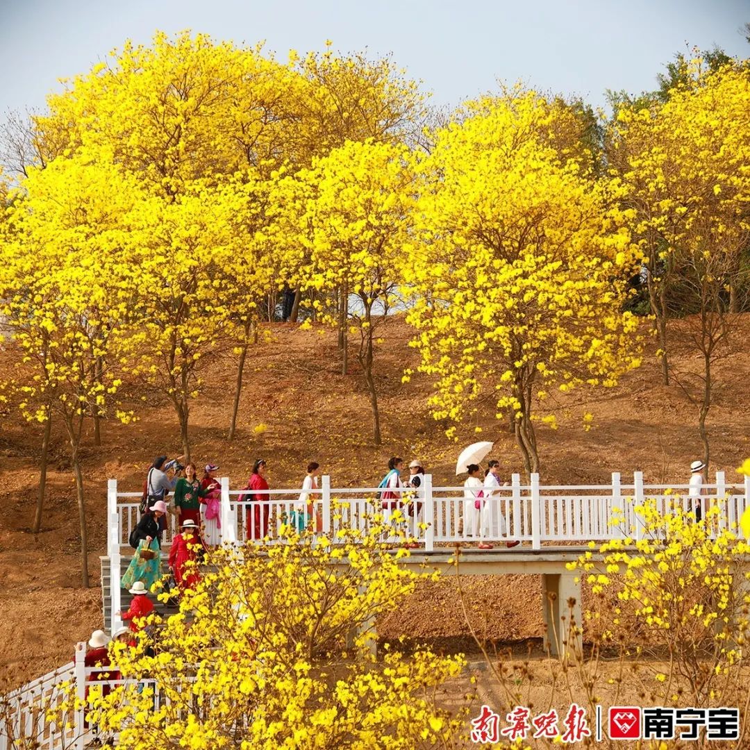 "风铃谷"位于青秀山风景区东面,市民游客可从青秀山东门进入景区.