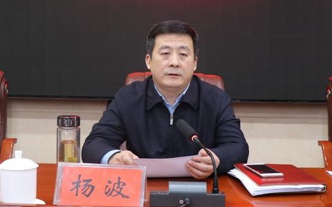 记者注意到,这是官方首次披露杨波因严重违纪违法被查.