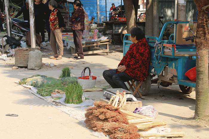 （河南项城高寺镇街景）