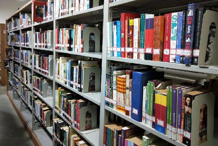 重庆图书馆2020年年报出炉办证读者逾49万最小读者是一对去年8月出生