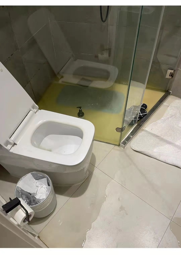 从2月11日除夕开始,家中的马桶就不停倒灌